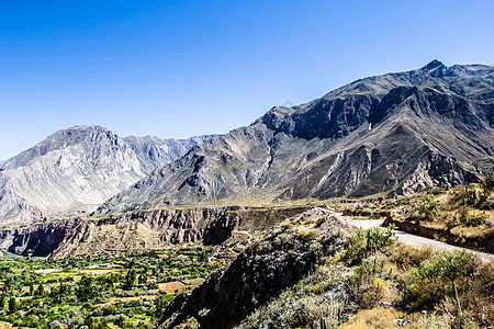 秘鲁 科塔瓦西峡谷 最深的峡谷风景场景阳台农业丘陵植物岩石高度农村秃鹰图片