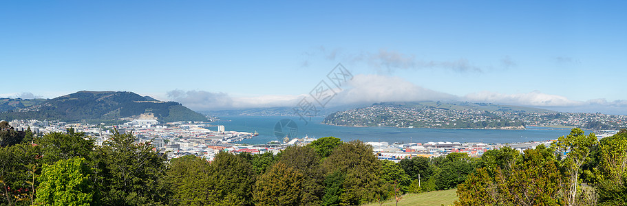 奥塔戈湾杜内丁半岛城市风景海岸线爬坡晴天海岸海景港口农村图片