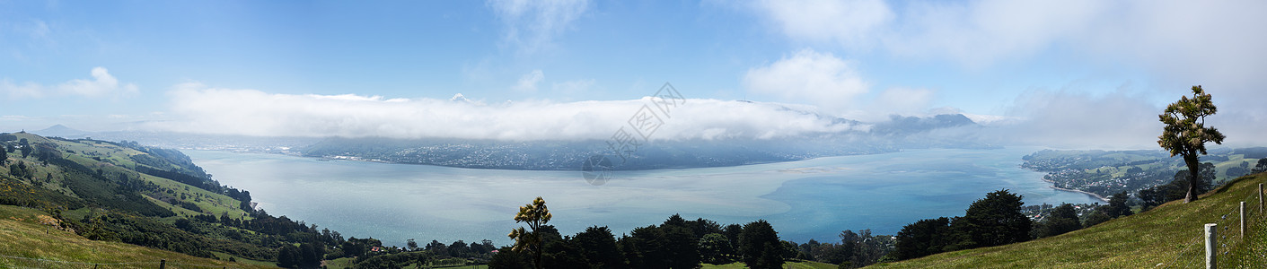 奥塔戈湾杜内丁海岸线农村海岸风景支撑旅行城市全景海景绿色图片