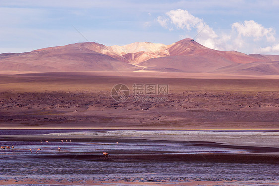 蓝色天空和白云之上的沙漠和山丘 玻利维亚阿尔提平洛土地旅游气候山脉火山高度植物野生动物高原荒野图片