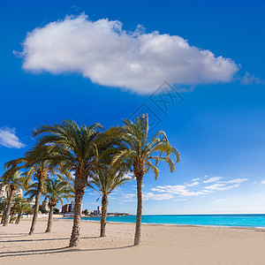 海滩和棕榈树白色海岸旅游天空蓝色假期支撑社区地标村庄图片