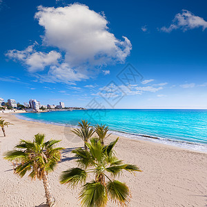 海滩和棕榈树白色树木天空旅行棕榈建筑物海岸线地标假期旅游图片