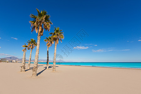 海滩 地中海棕榈树假期海岸村庄棕榈旅行支撑蓝色天空社区景点图片