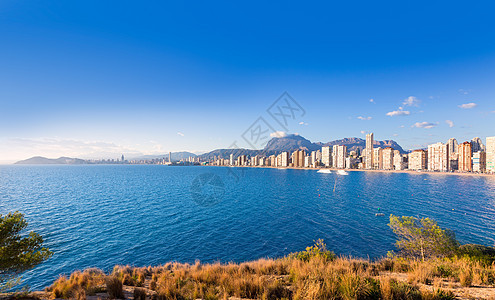 Benidorm 天线Levante海滩 地中海蓝海天际海岸地标蓝色景点地平线酒店支撑社区海岸线图片