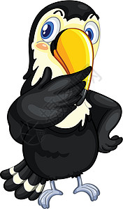 Toucan 土干翅膀插图眼睛卡通片热带生物乐趣吉祥物野生动物鹦鹉图片