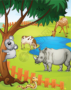各种动物犀牛爬虫蓝色考拉荒野异国草图场景栅栏丛林图片