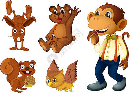棕色动物收藏卡通片乐趣大猩猩捕食者婴儿飞行微笑松鼠插图演员图片