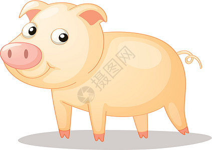 小猪粉色动物猪蹄奶油卷曲漫画农场哺乳动物婴儿微笑背景图片