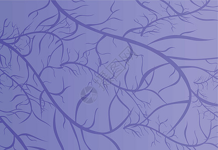 紫色纹理静脉神经生物学结局视网膜跨度毛细血管图片