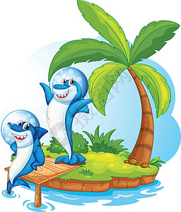 岛上的鲸鱼动物绿色鲨鱼草图池塘游泳卡通片空格处气泡棕榈图片