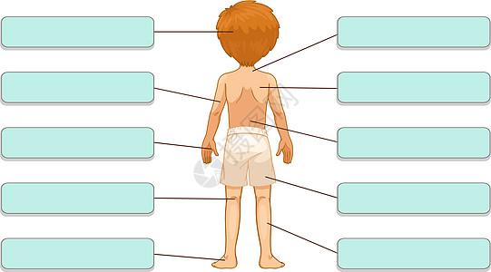 车身零件内衣标签横幅科学卡通片工作簿孩子们膝盖男生男性图片