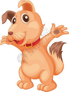孤立的狗小狗婴儿乐趣插图宠物粉色橙子毛皮衣领头发图片