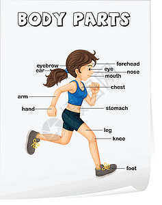 身体的一部分跑步孩子们教育鼻子眼睛训练海报工作簿慢跑插图图片