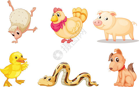 一群动物农场团体卡通片孩子们母鸡漫画宠物情感小猪小鸡图片