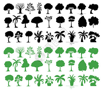 树木种类繁多黑色叶子树叶团体白色剪裁草图剪影分支机构绿色图片
