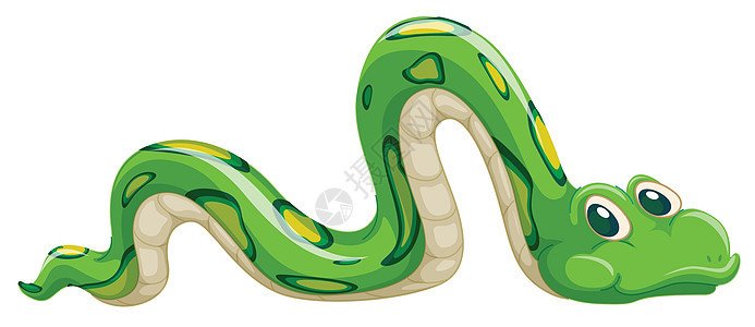 蛇生物荒野蟒蛇斑点吉祥物黄色绿色丛林森林卡通片图片