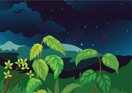 夜间森林绿色植物群场景灌木丛插图树叶天空山脉丛林栖息地背景图片