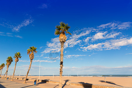 巴伦西亚马尔瓦罗萨拉斯阿雷纳斯 帕塔科纳海滩棕榈树季节海滩社区晴天支撑波浪天空海岸海岸线棕榈图片