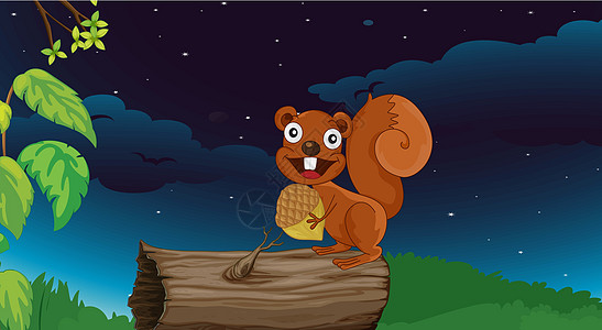 可爱松松鼠天空松鼠哺乳动物动物毛皮栗鼠木头食物森林野生动物图片