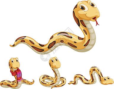蛇系列动画艺术粉色捕食者团体乐趣动物吉祥物绘画棕色图片