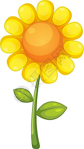 花雏菊黄色花瓣太阳橙子插图卡通片剪贴圆形图片