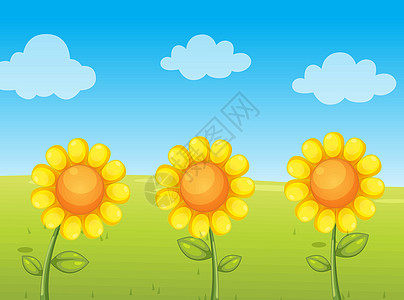 向日葵橙子卡通片雏菊插图天空团体太阳剪贴收藏草地图片