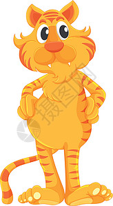 孤立的老虎白色耳朵剪裁吉祥物哺乳动物小路猫科黄色毛皮尾巴图片