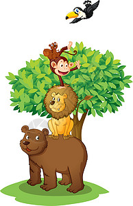 树下的动物游戏黑猩猩空格处哺乳动物团体植物草图大猩猩狮子丛林图片