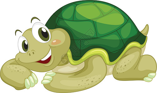 动画乌龟玩具绘画宠物动物园孩子们生物生活说谎爬虫插图图片