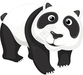 可爱的熊猫插图绘画野生动物白色荒野竹子卡通片乐趣黑色动物图片