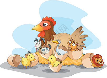母鸡和动物小狗狮子小猫卡通片生活鸟类小鸡插图绘画母亲图片