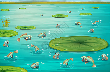 鱼类飞溅百合尾巴池塘潜水钓鱼场景学校团体芦苇图片