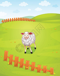 绵羊哺乳动物山脉草原丛林牧场牛奶木头动物农村材料图片