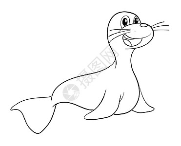 海豹素描动物绘画微笑草图生物水族馆海狮胡须狮子热带图片