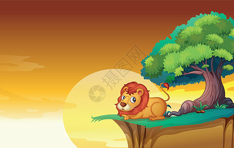 狮子狮植物国王动物射线太阳荒野橙子悬崖天空日落图片