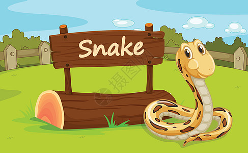 动物园动物艺术插图卡通片爬虫邮政外壳木头野生动物生物蟒蛇图片