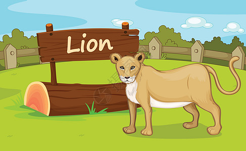 动物园动物插图日志场地生活展示公园栅栏粮食天空母狮图片