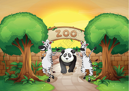 动物园和动物树干灌木金色爬行者登山者植物树木熊猫天空字母图片