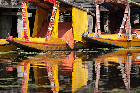 克什米尔达尔湖的Shikara船文化旅行城市住宅场景运输风景木头酒店社区图片