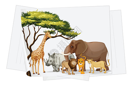 纸上丛林中的动物狮子线条捕食者老虎草图森林犀牛色调场景荒野图片