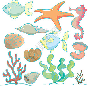 海洋动物和植物海马模式热带橙子甲壳卡通片绘画生物贝类水族馆图片