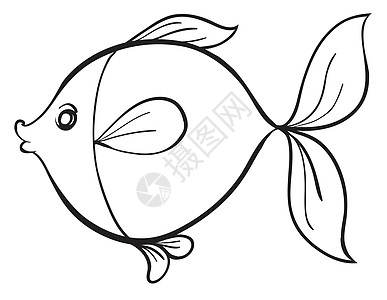 鱼类钓鱼动物眼睛草图营养食品线条尾巴绘画食物图片