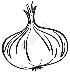 蔬菜上惠特洋葱白色营养卡通片食品午餐食物绘画草图剪贴画图片