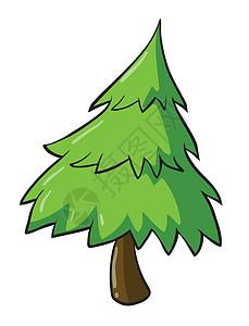 常绿圣诞树庆典绿色植物针叶树树叶节日叶子棕色松树绘画设计图片