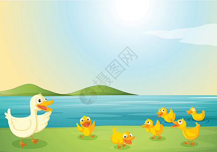 鸭子蓝色草地植物动物小鸭子天空绿色农场灌木婴儿图片