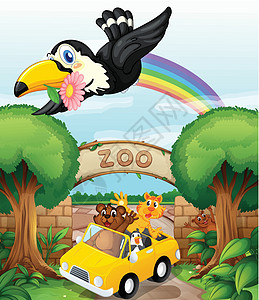 动物园和动物鸟类彩虹蓝色天空场景哺乳动物风景天堂植物群绘画图片