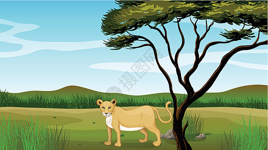 它制作图案狮子树木木头栖息地母狮环境天空食肉绘画蓝色分支机构图片