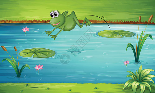青蛙跳跃牛蛙植物树叶百合芦苇花朵池塘两栖风景动物图片