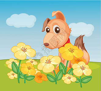养狗和鲜花植物图片