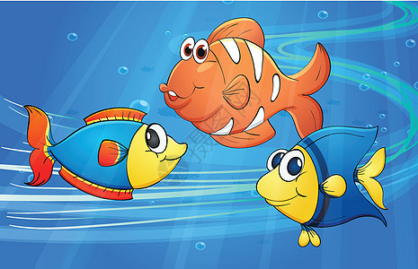 鱼野生动物荒野海洋珊瑚动物哺乳动物热带游泳气泡小丑图片